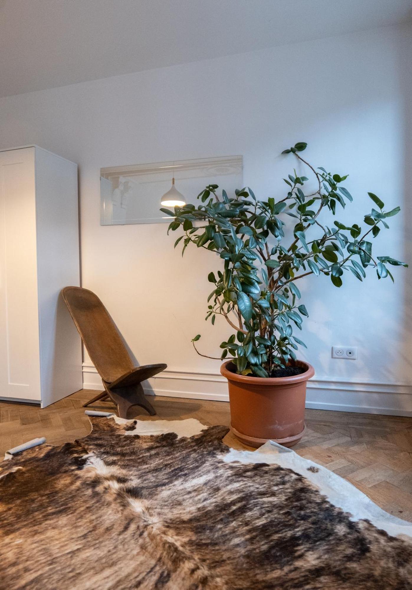 Les Appartements Rue des Veaux - Quartier Cathédrale Estrasburgo Exterior foto